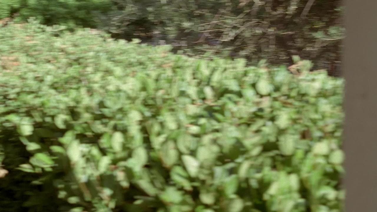 assista ao episódio 3 da temporada 1
