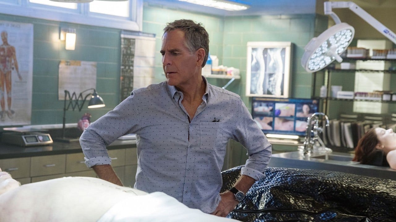 assista ao episódio 13 da temporada 5