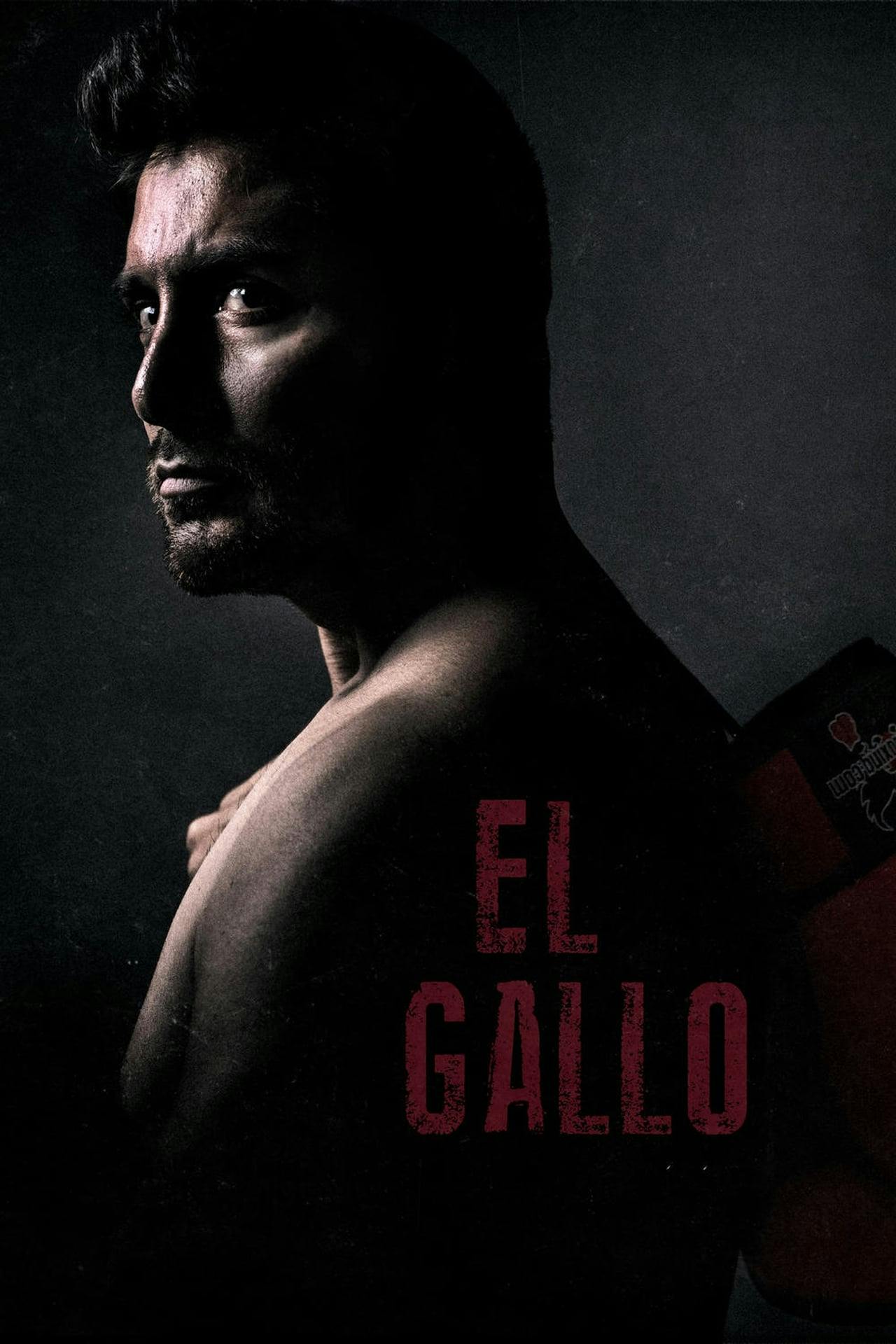 Assistir El Gallo Online em HD