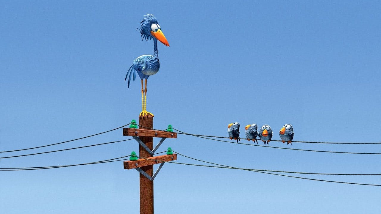 Coisas de Pássaros