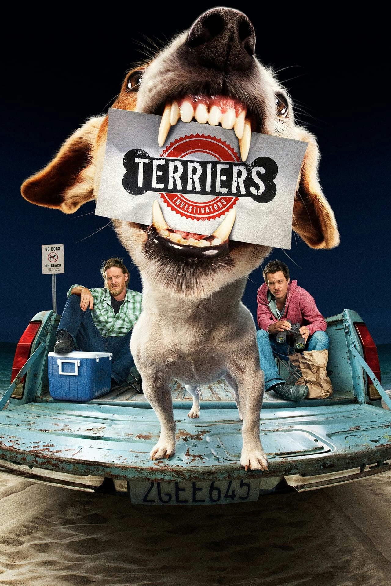 Assistir Terriers Online em HD