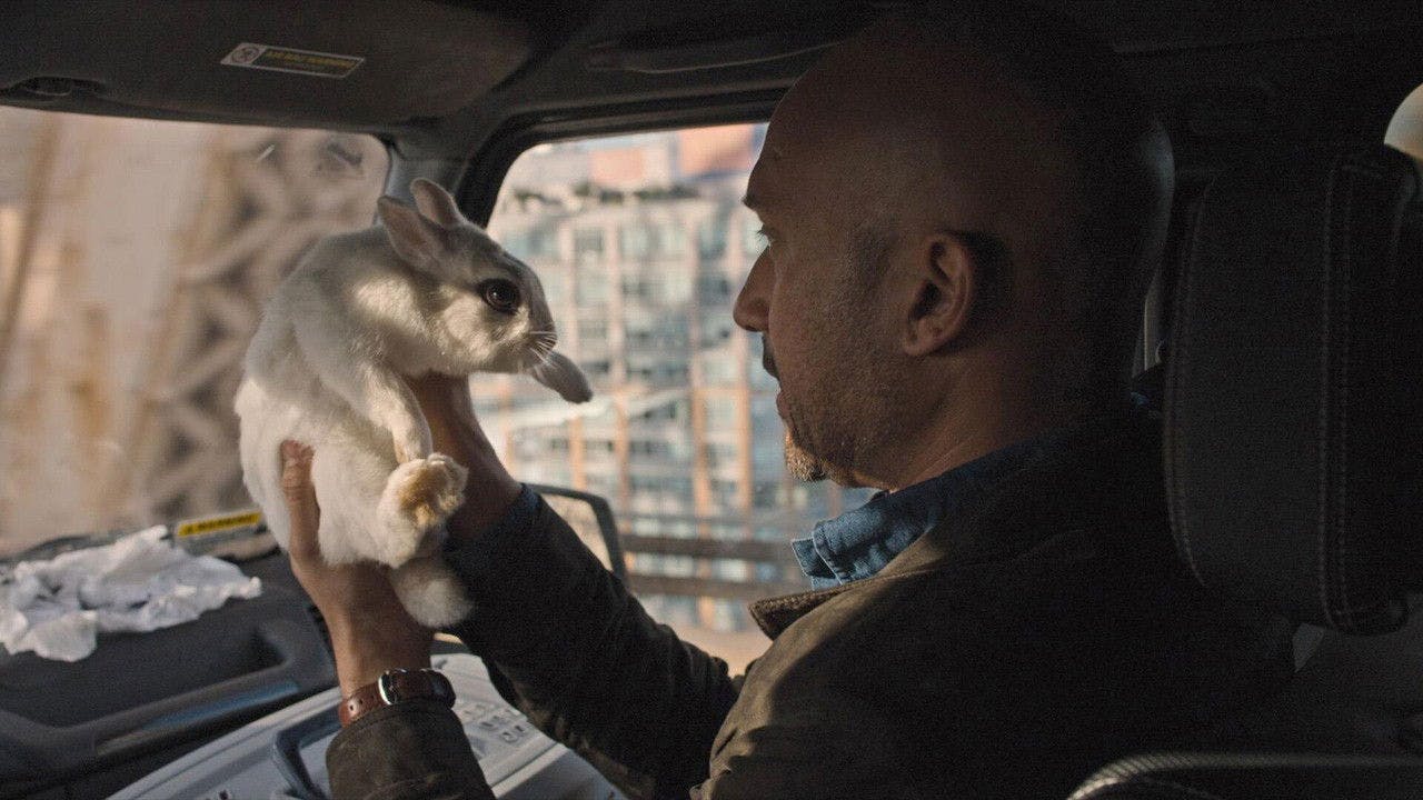 assista ao episódio 2 da temporada 1