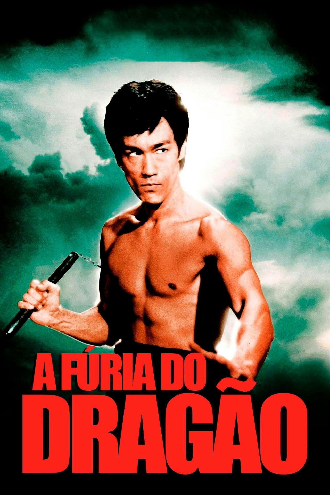 Assistir A Fúria do Dragão Online em HD