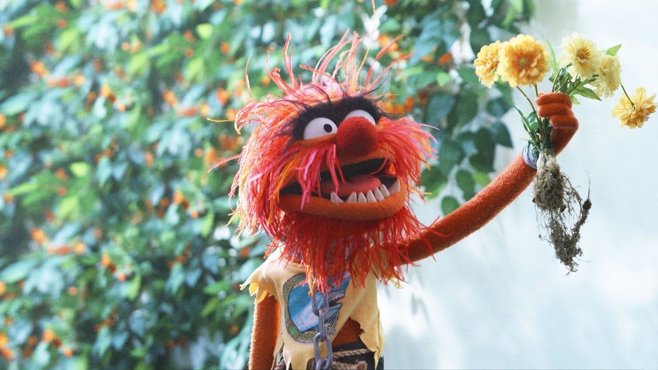 Muppets e o Caos Elétrico