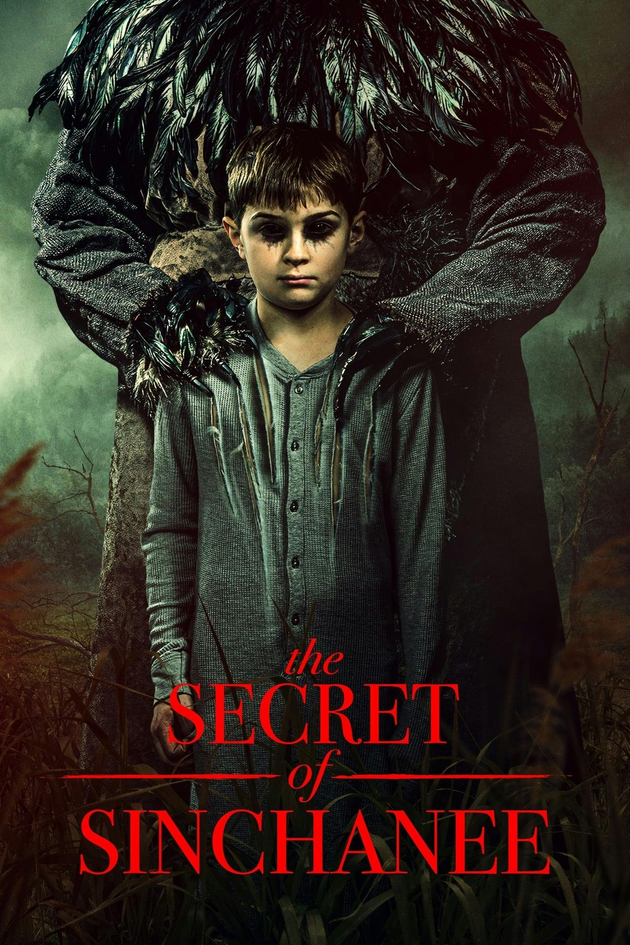 Assistir The Secret of Sinchanee Online em HD