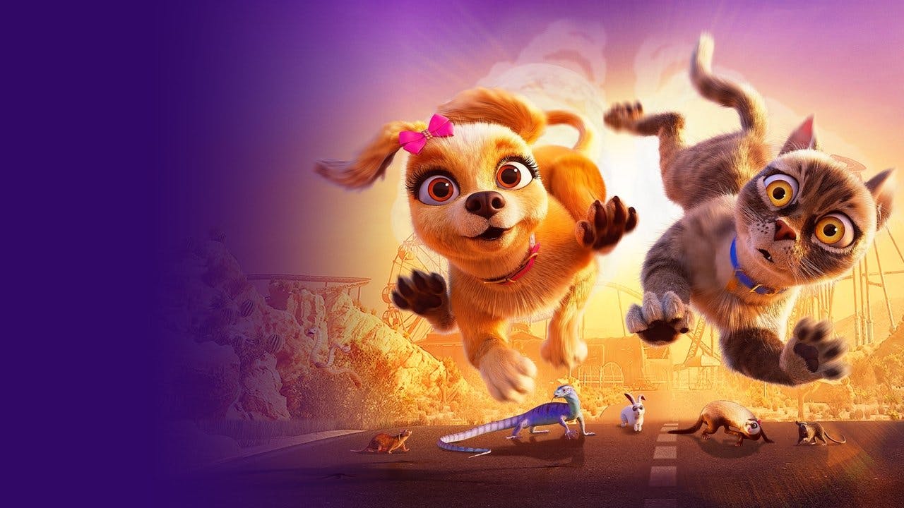 Pets em Ação!