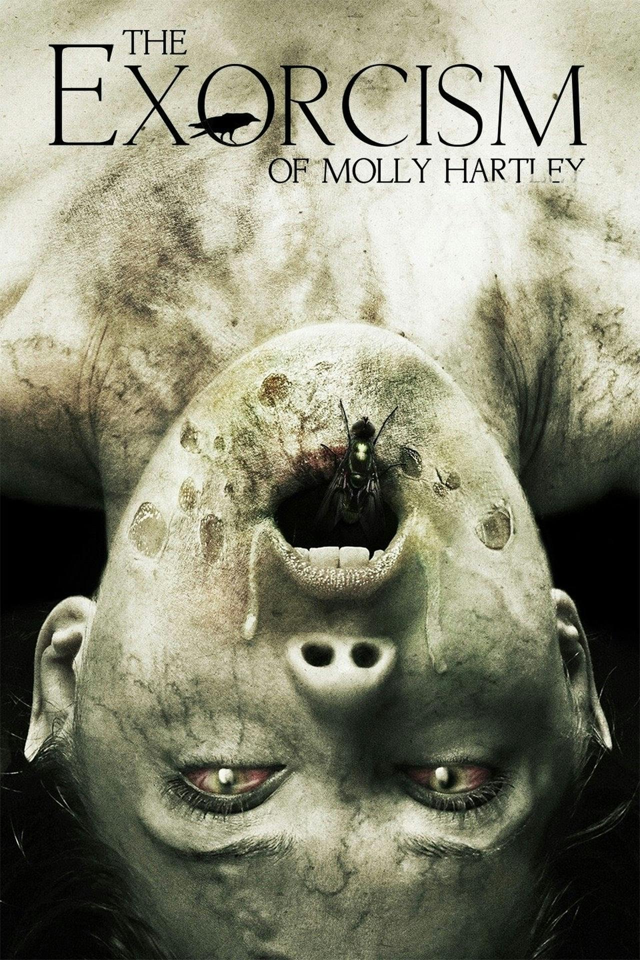 Assistir O Exorcismo de Molly Hartley Online em HD