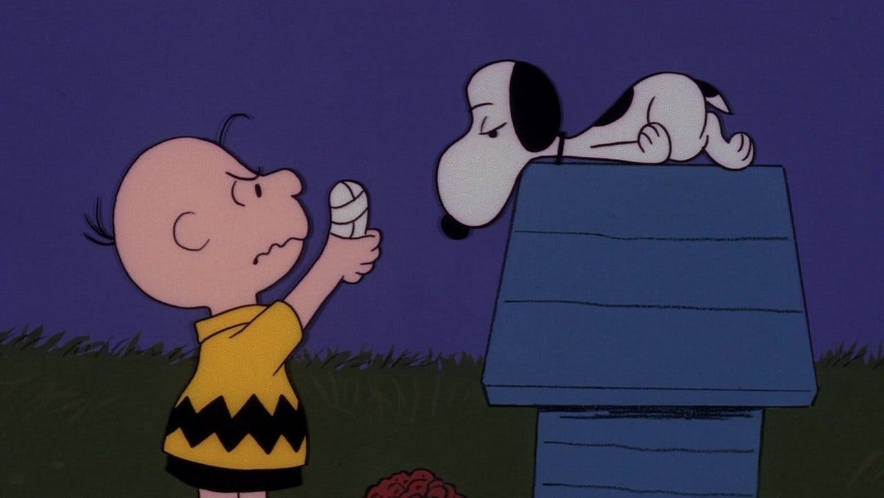 Volte para Casa, Snoopy
