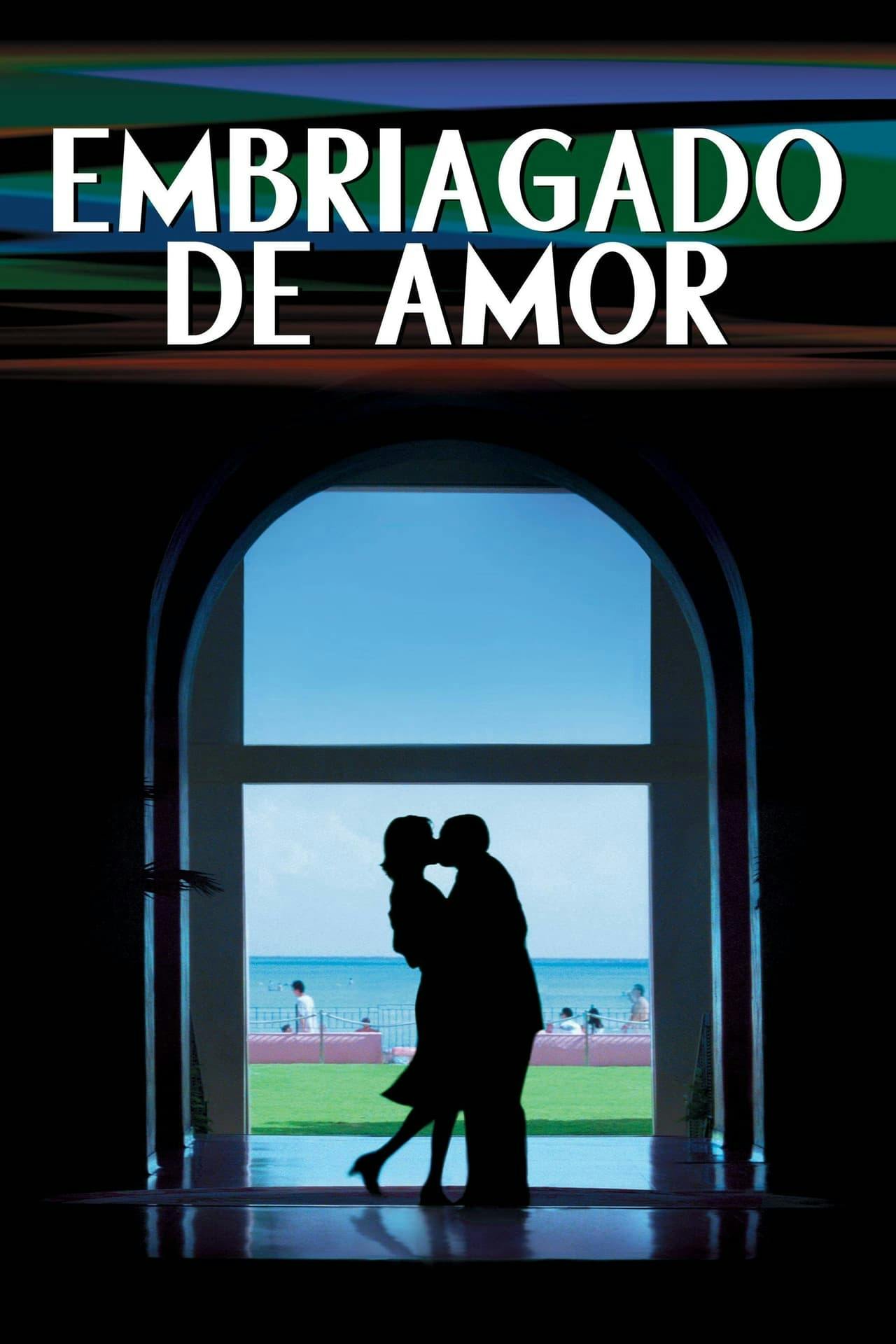 Assistir Embriagado de Amor Online em HD