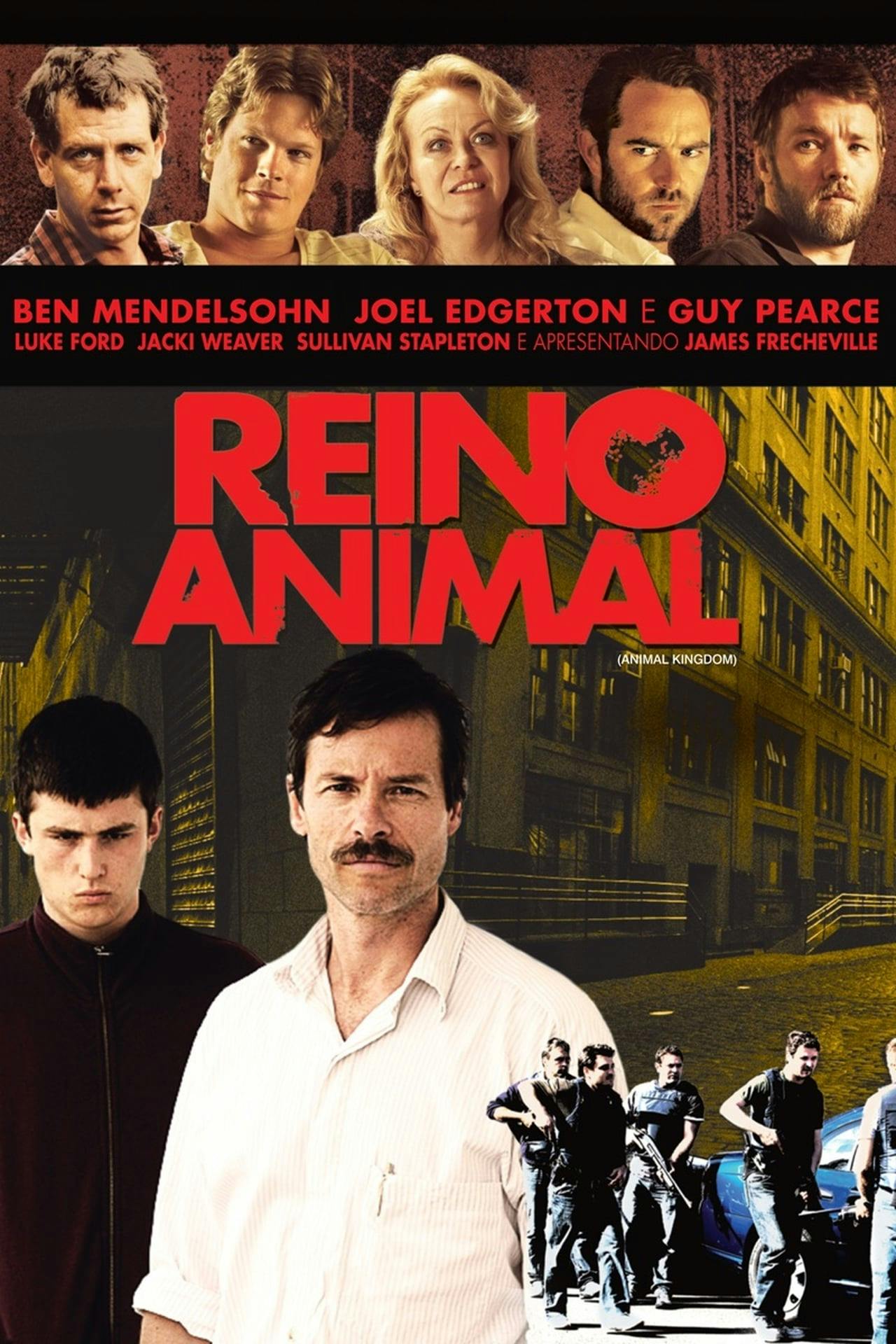 Assistir Reino Animal Online em HD