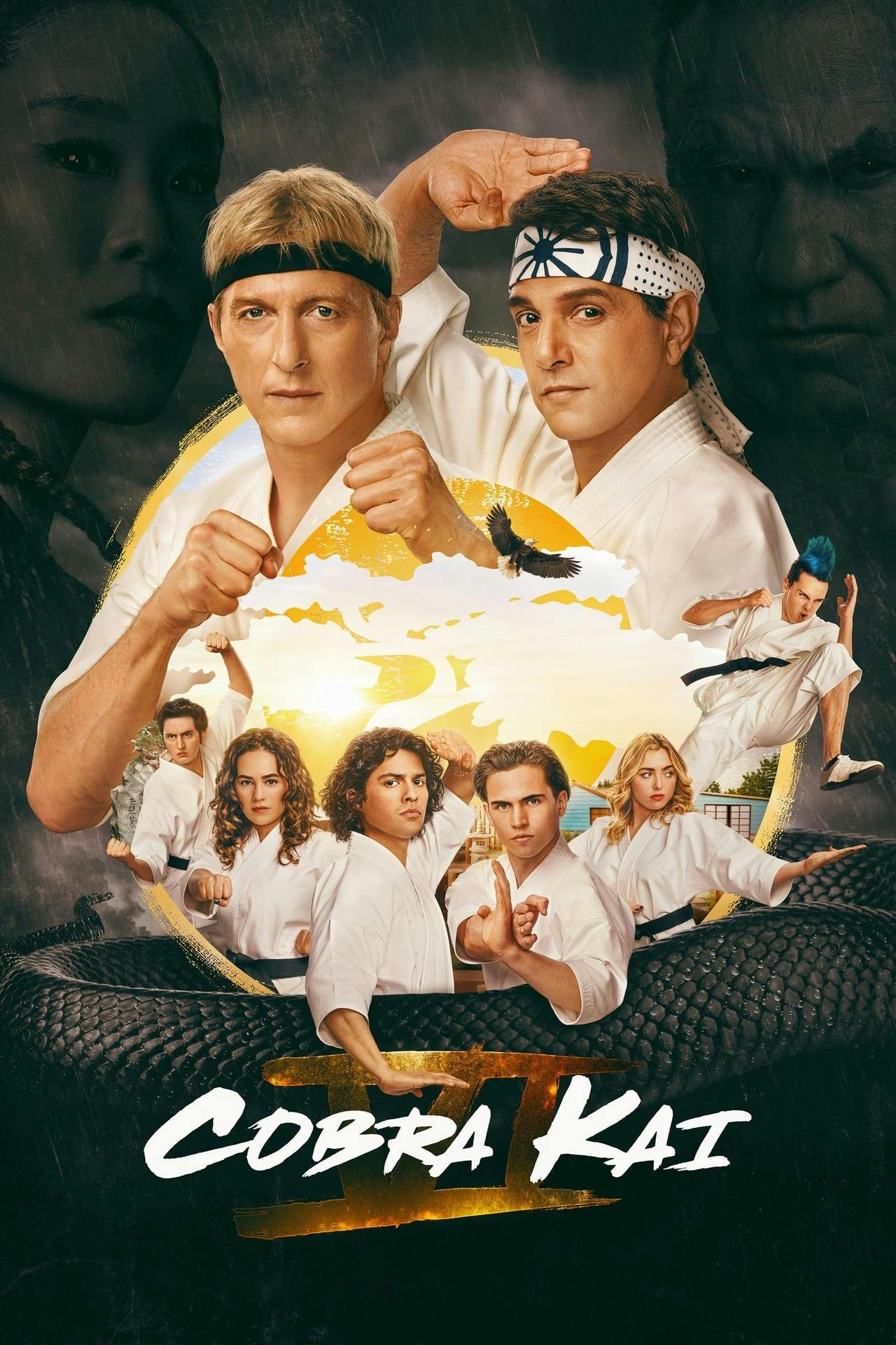 Assistir Cobra Kai Online em HD