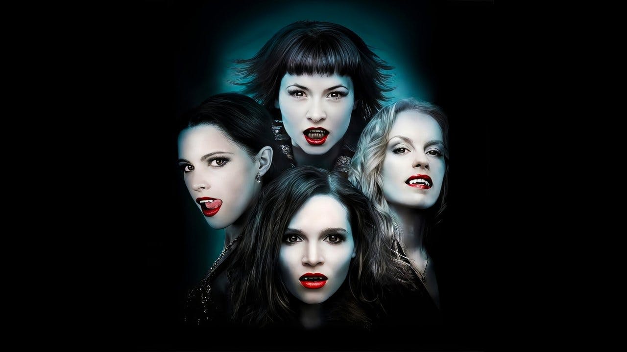 As Donas da Noite assista online