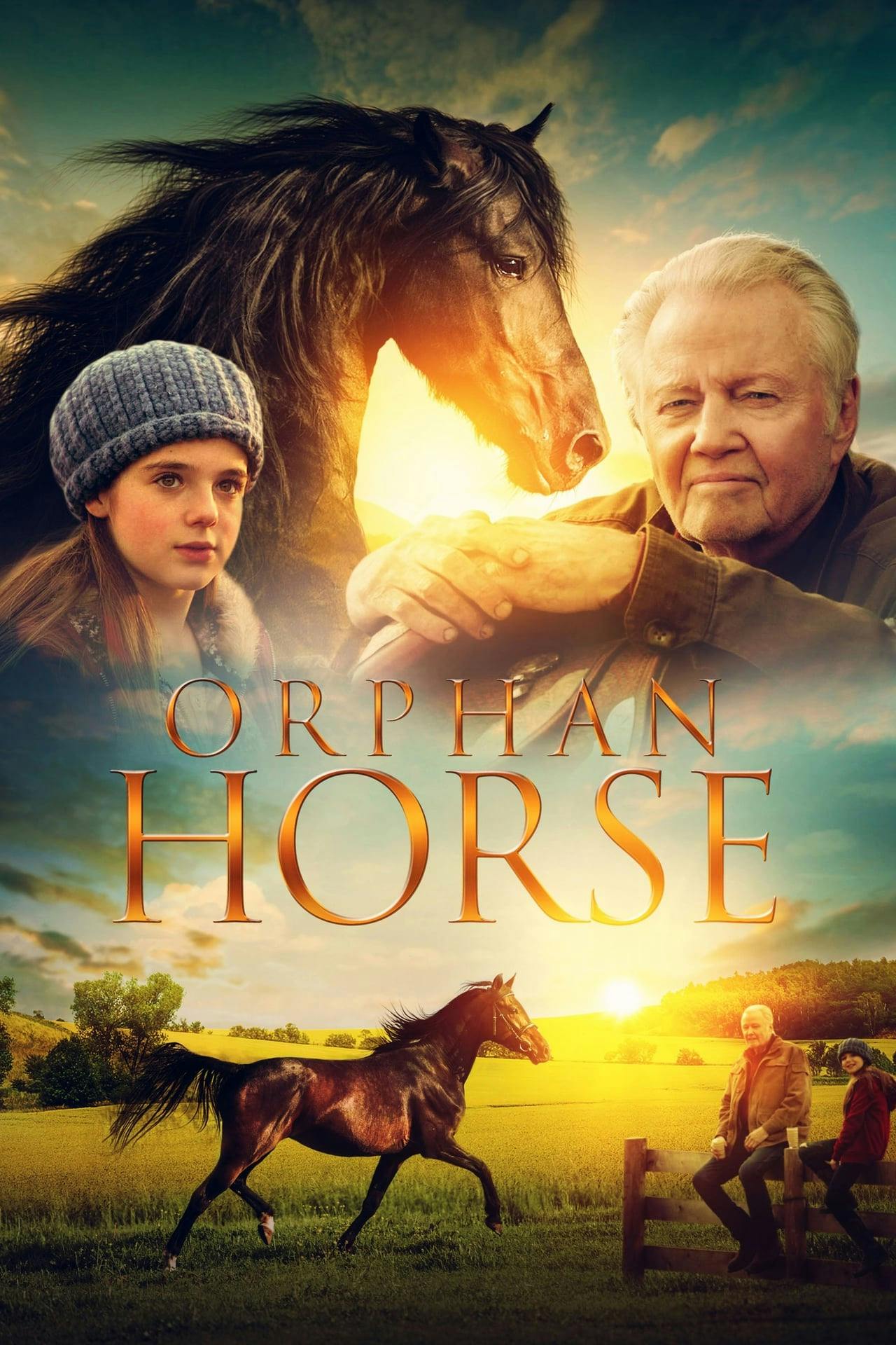 Assistir Orphan Horse Online em HD