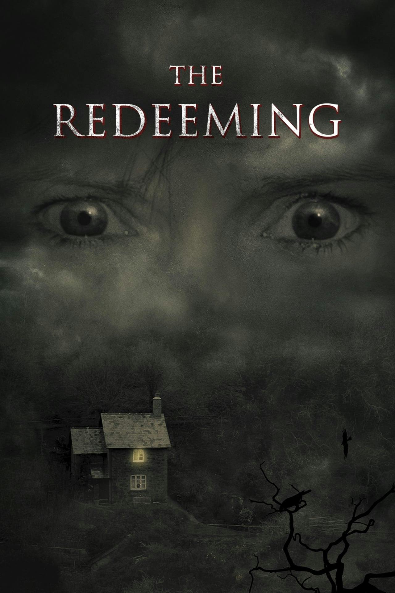 Assistir The Redeeming Online em HD