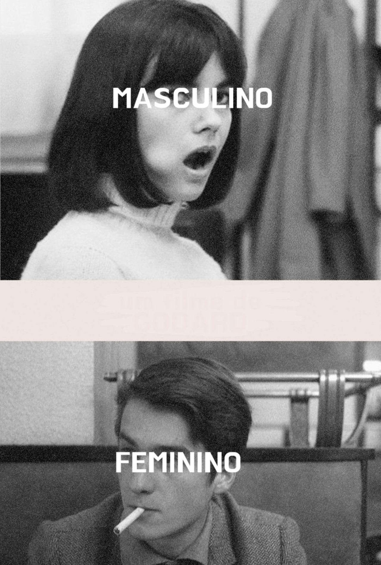 Assistir Masculino, Feminino Online em HD