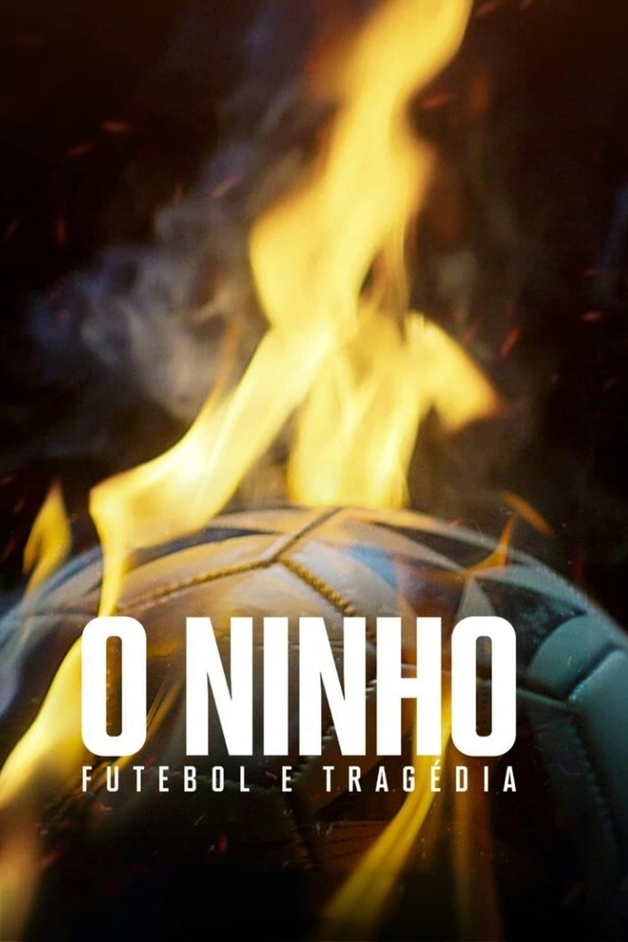 Assistir O Ninho: Futebol e Tragédia Online em HD