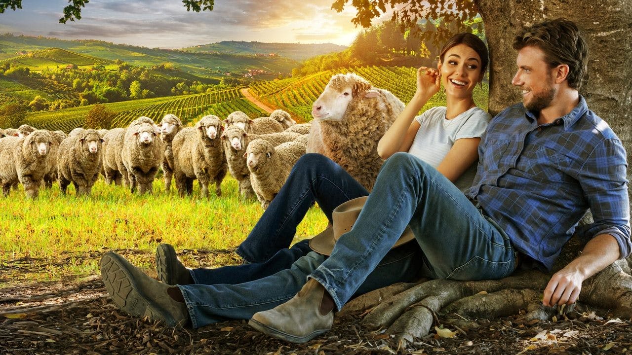 Combinação Perfeita assista online