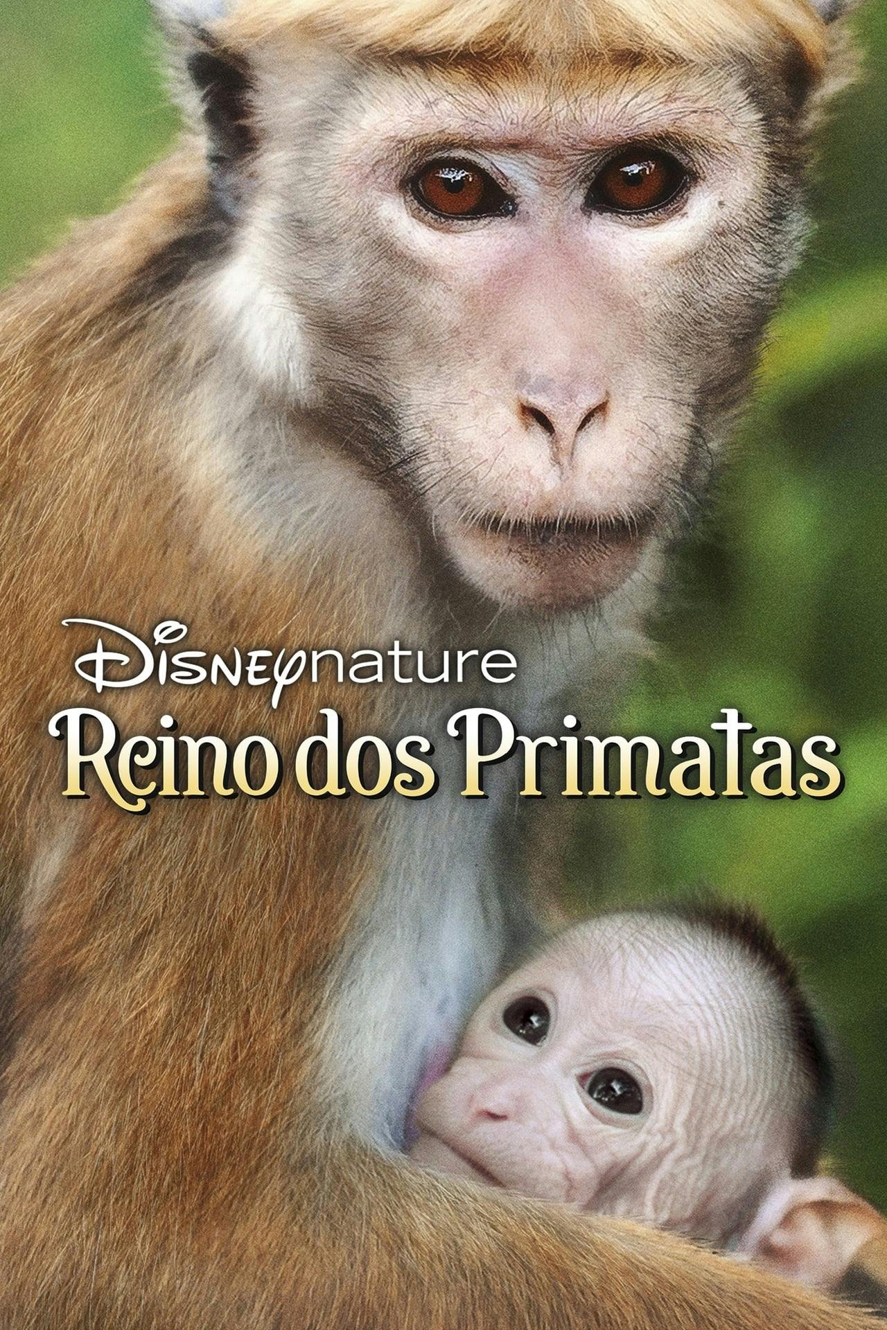 Assistir O Reino dos Primatas Online em HD