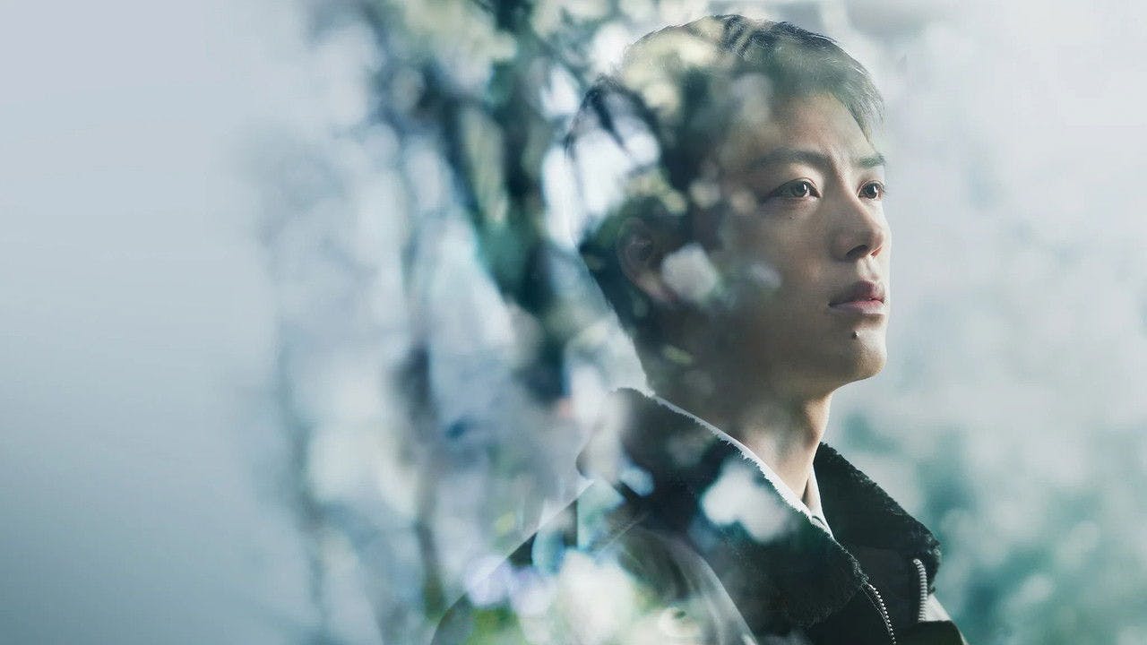 Silent Truth assista online