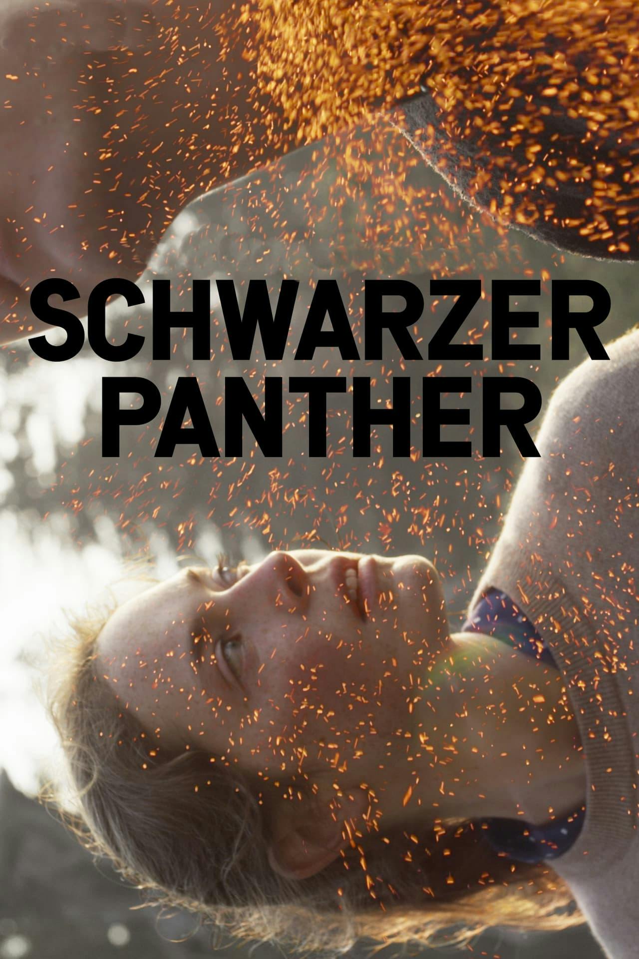 Assistir Schwarzer Panther Online em HD