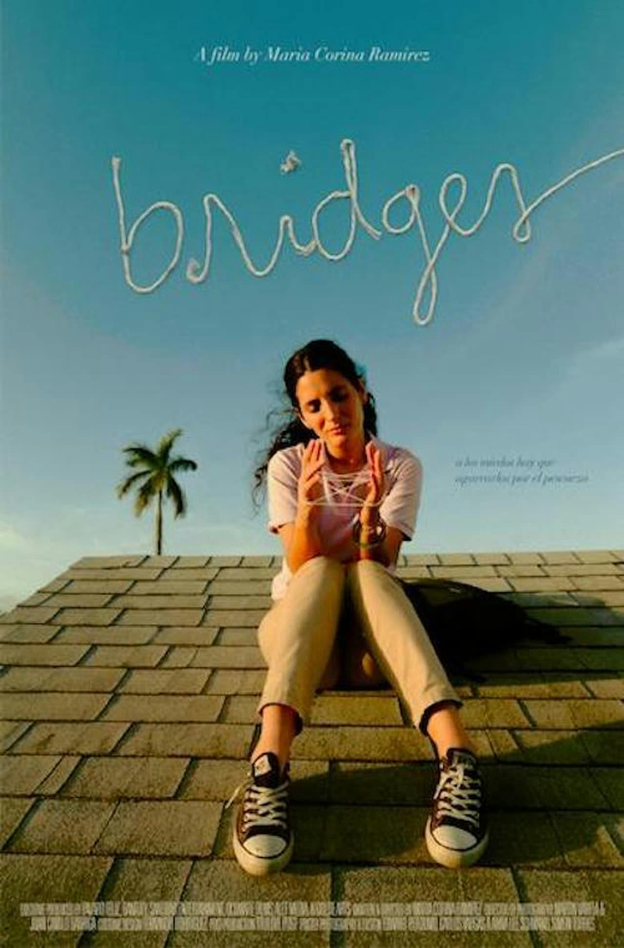 Assistir Bridges Online em HD