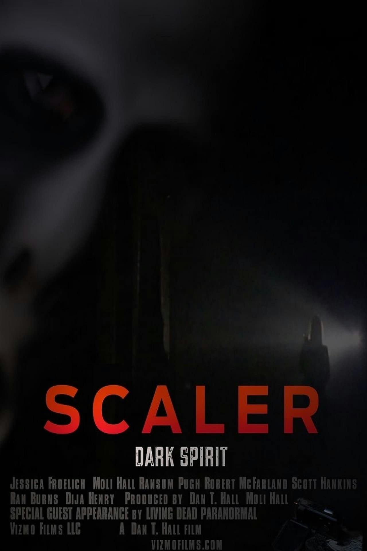 Assistir Scaler, Dark Spirit Online em HD