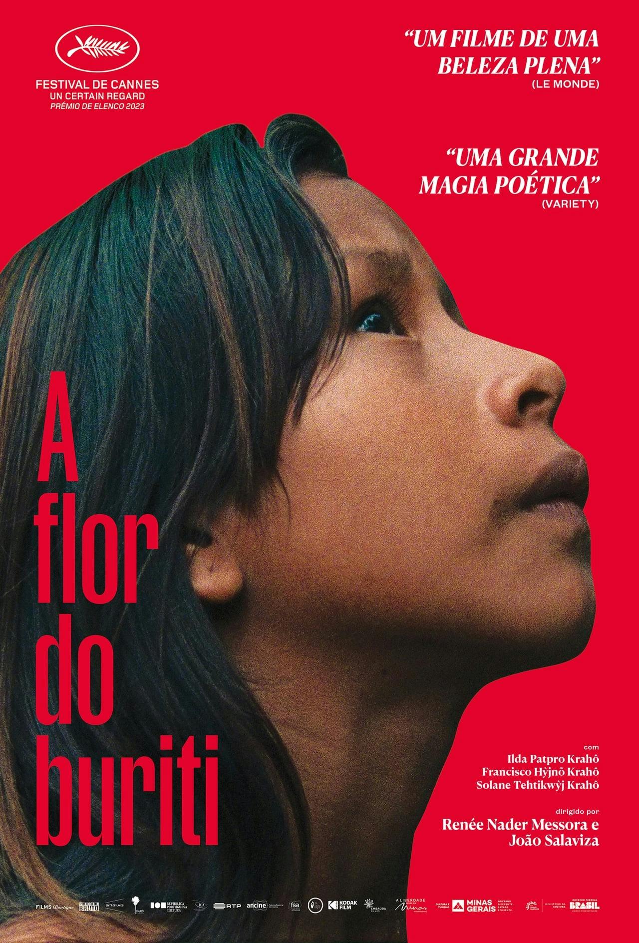 Assistir A Flor do Buriti Online em HD