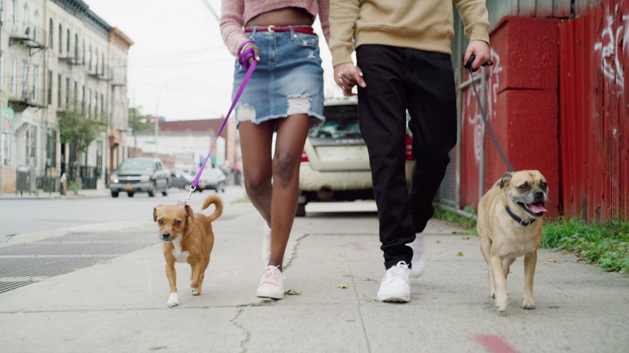 assista ao episódio 8 da temporada 1