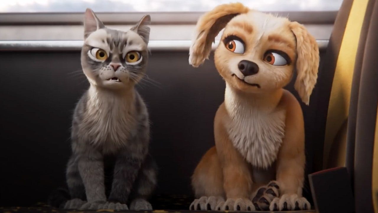 Pets em Ação!