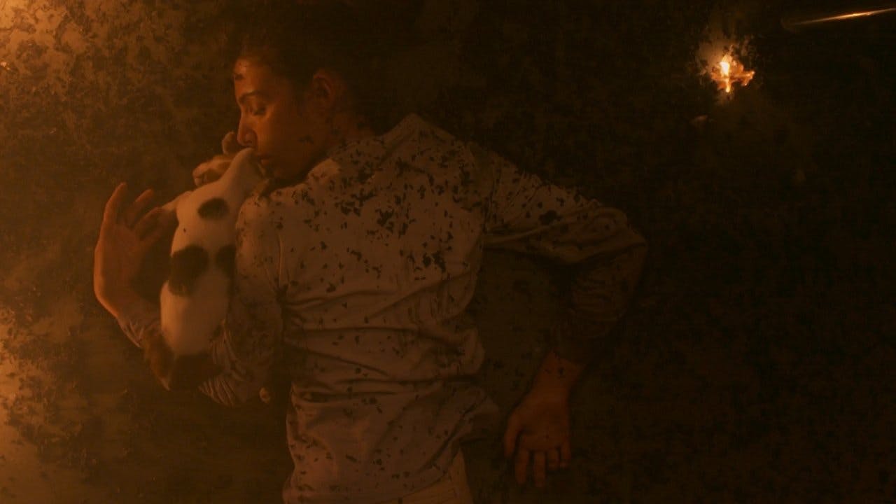 assista ao episódio 91 da temporada 1