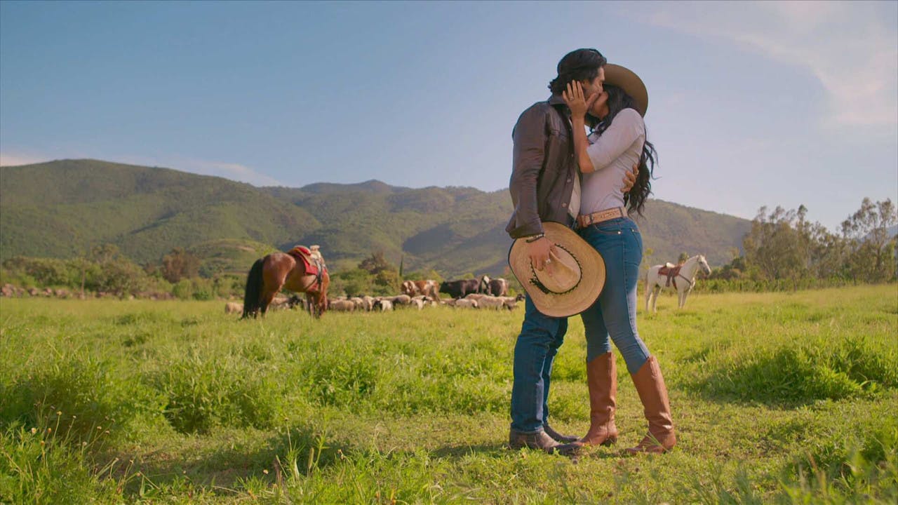 assista ao episódio 85 da temporada 1