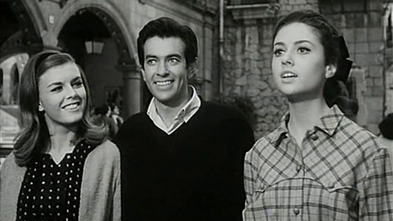 Dio, come ti amo! assista online
