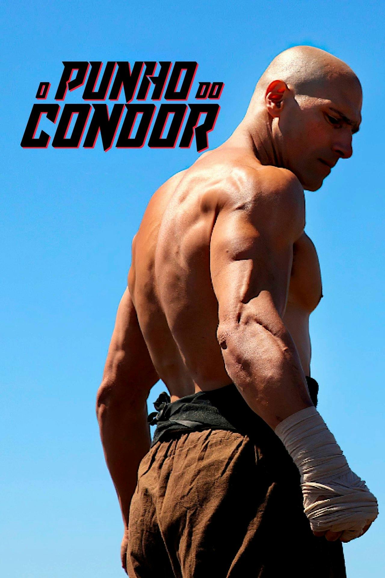 Assistir O Punho do Condor Online em HD