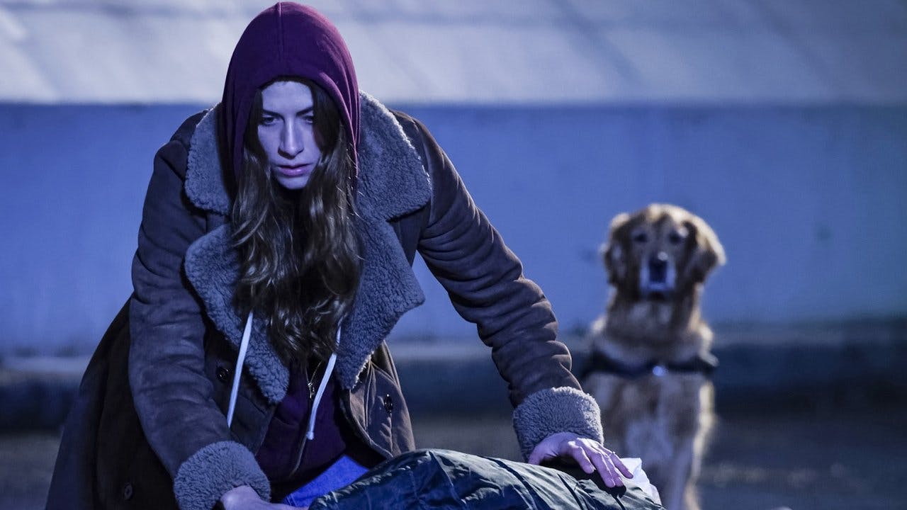 assista ao episódio 13 da temporada 1