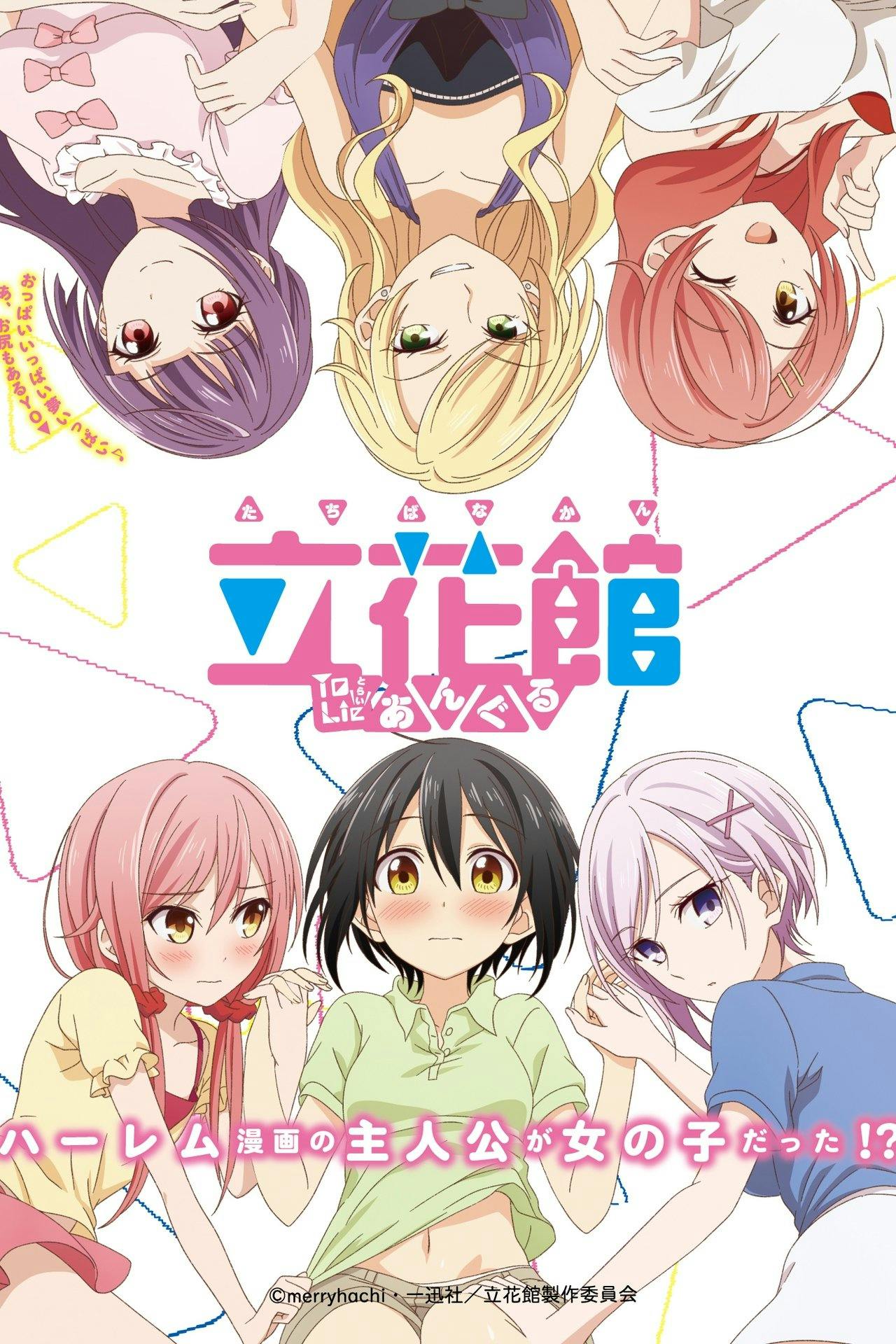 Assistir Tachibanakan Triangle Online em HD