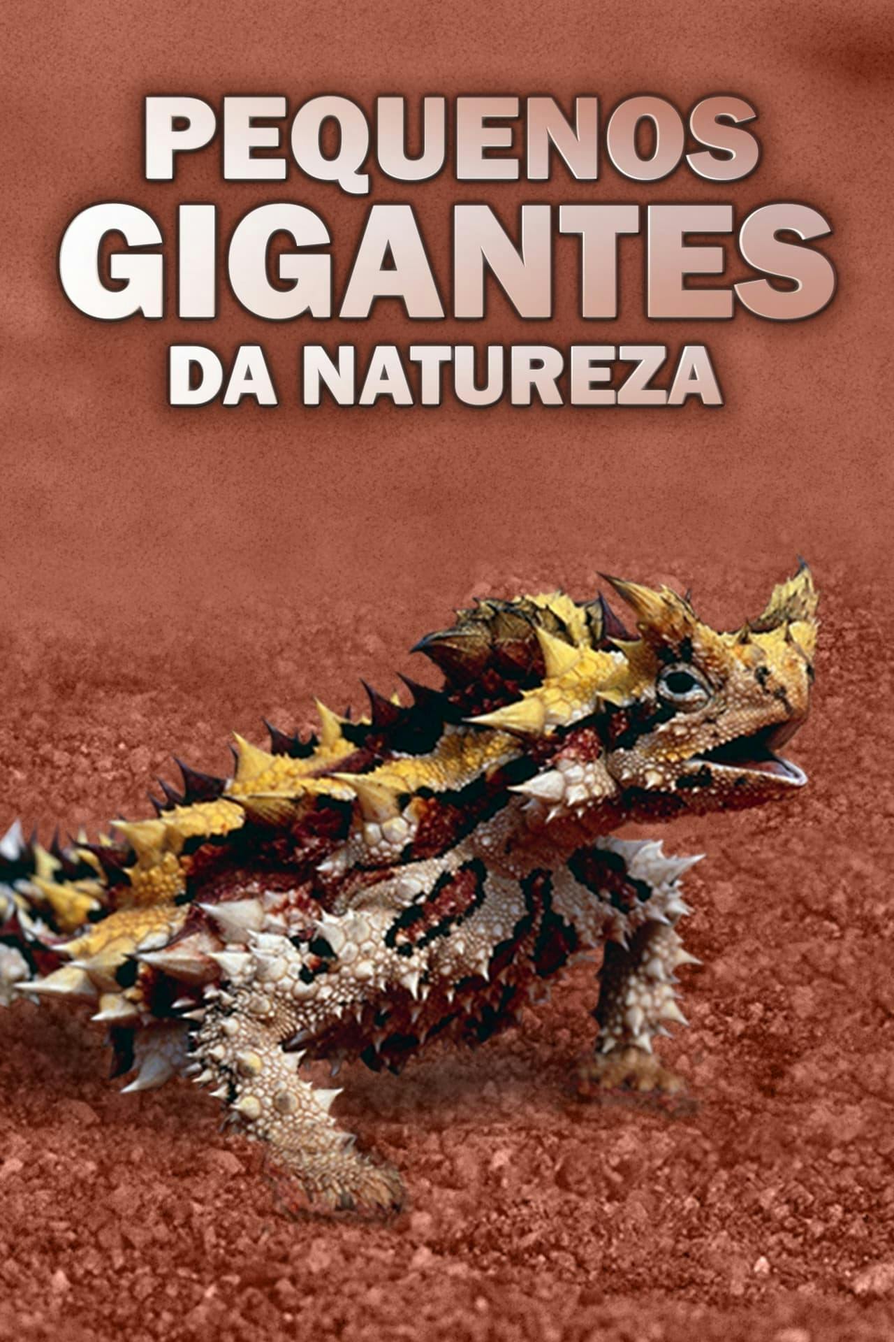 Assistir Pequenos Gigantes da Natureza Online em HD