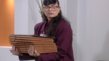 assista ao episódio 233 da temporada 1