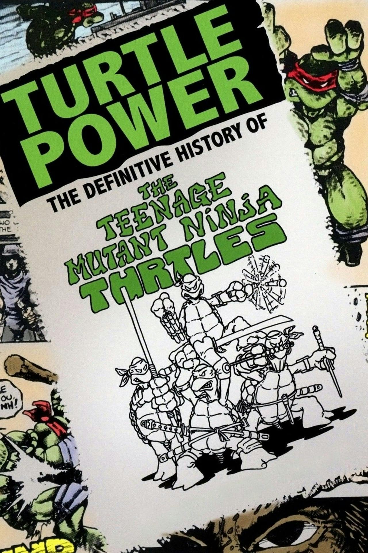 Assistir Turtle Power: The Definitive History of the Teenage Mutant Ninja Turtles Online em HD