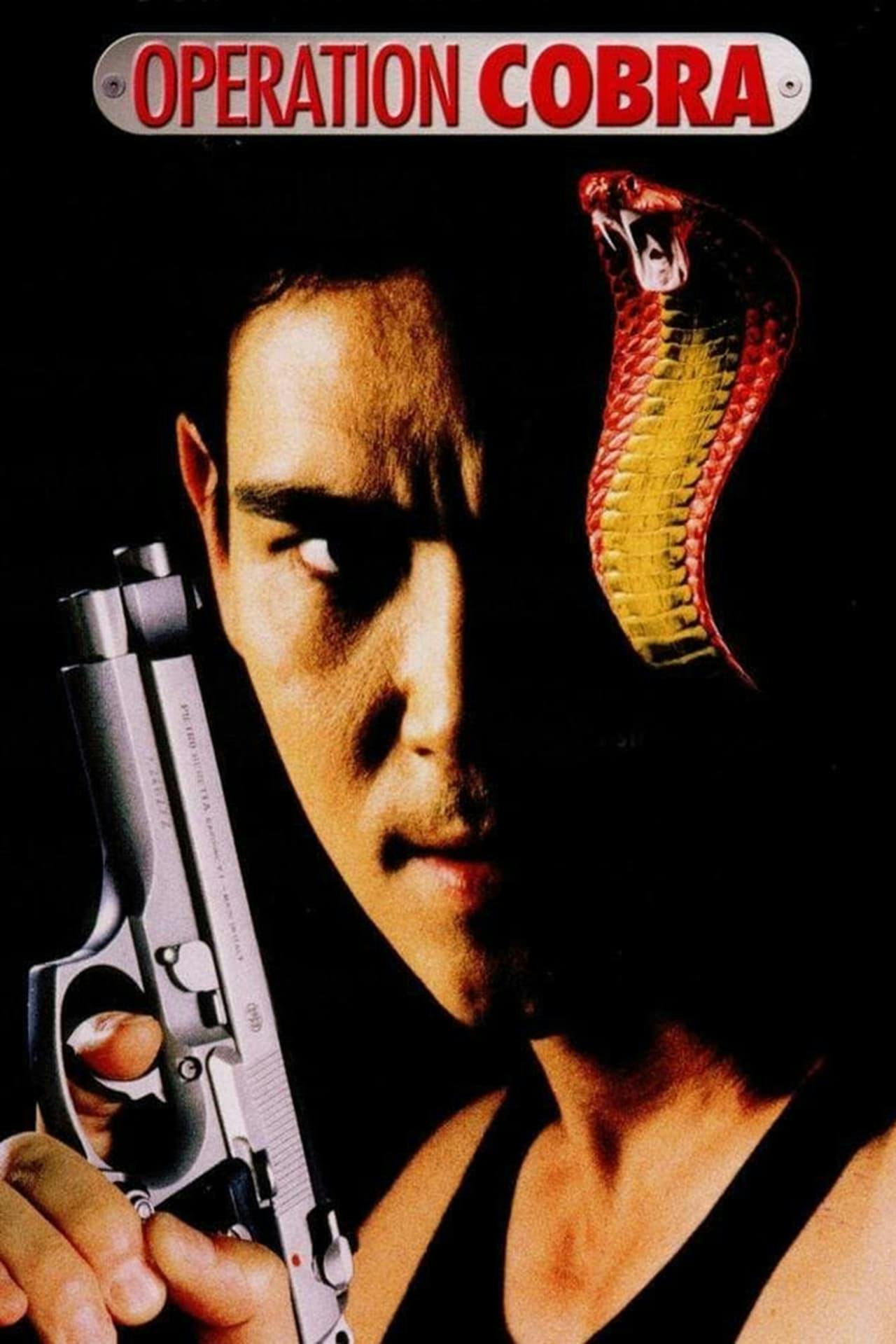 Assistir Operation Cobra Online em HD