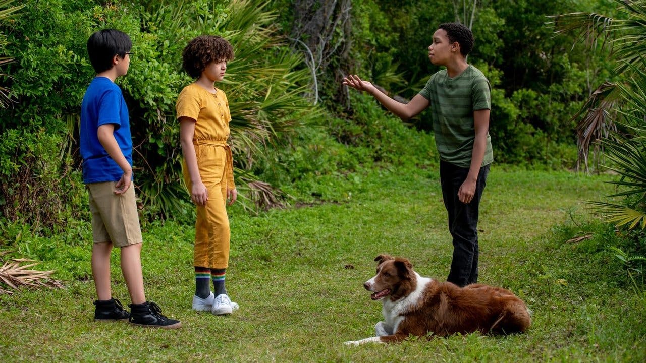 Pet Investigators assista online