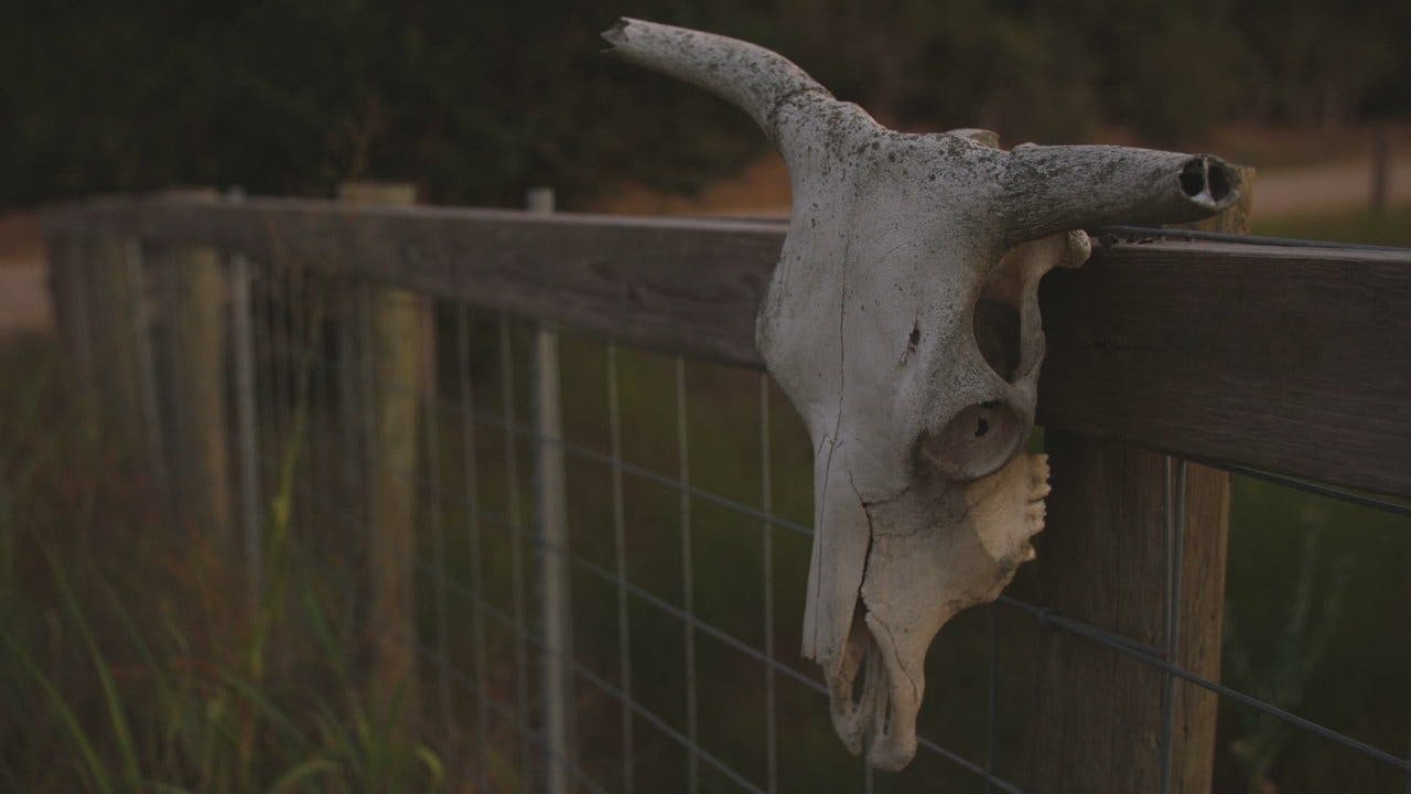 assista ao episódio 1 da temporada 1