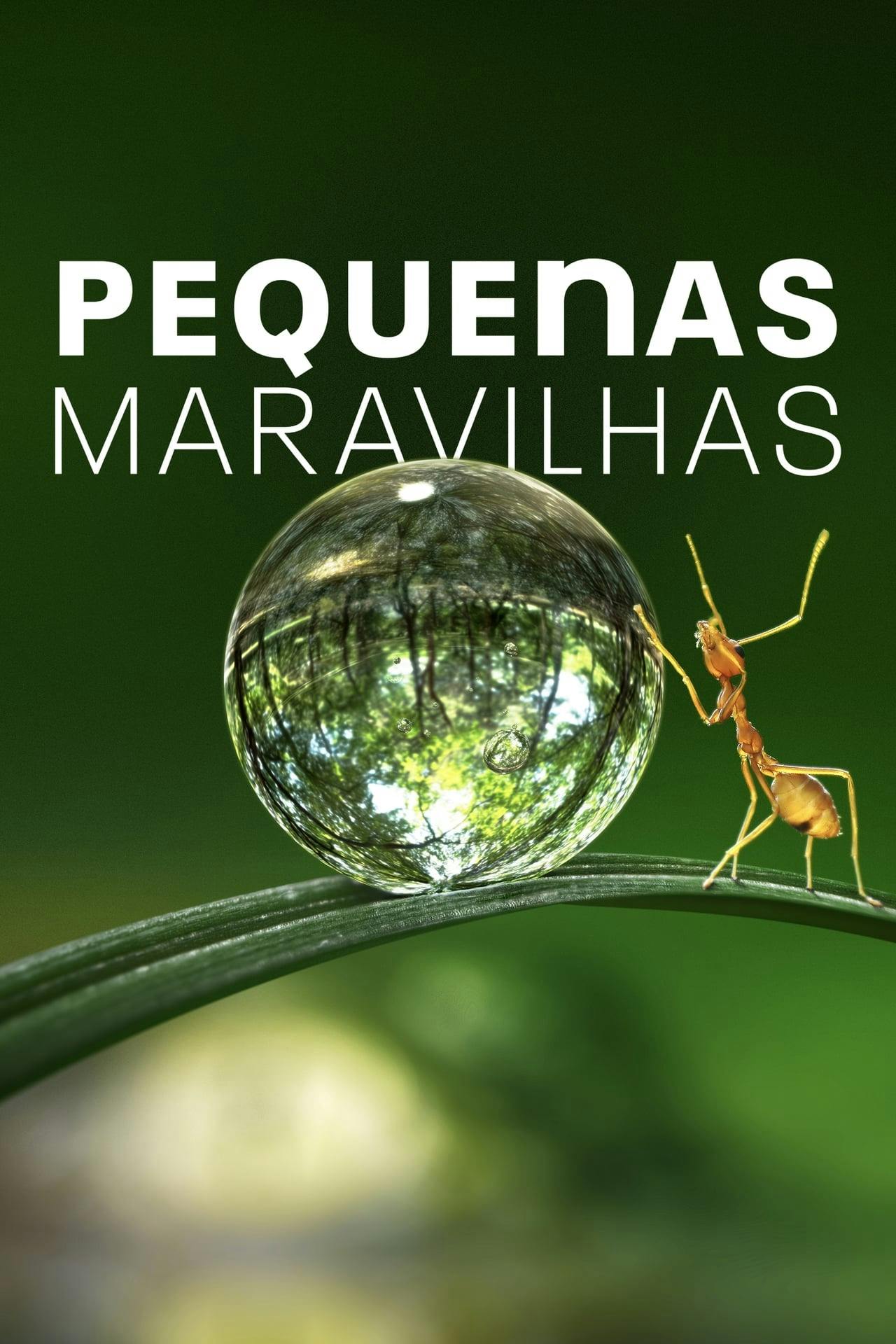 Assistir Pequenas Maravilhas Online em HD