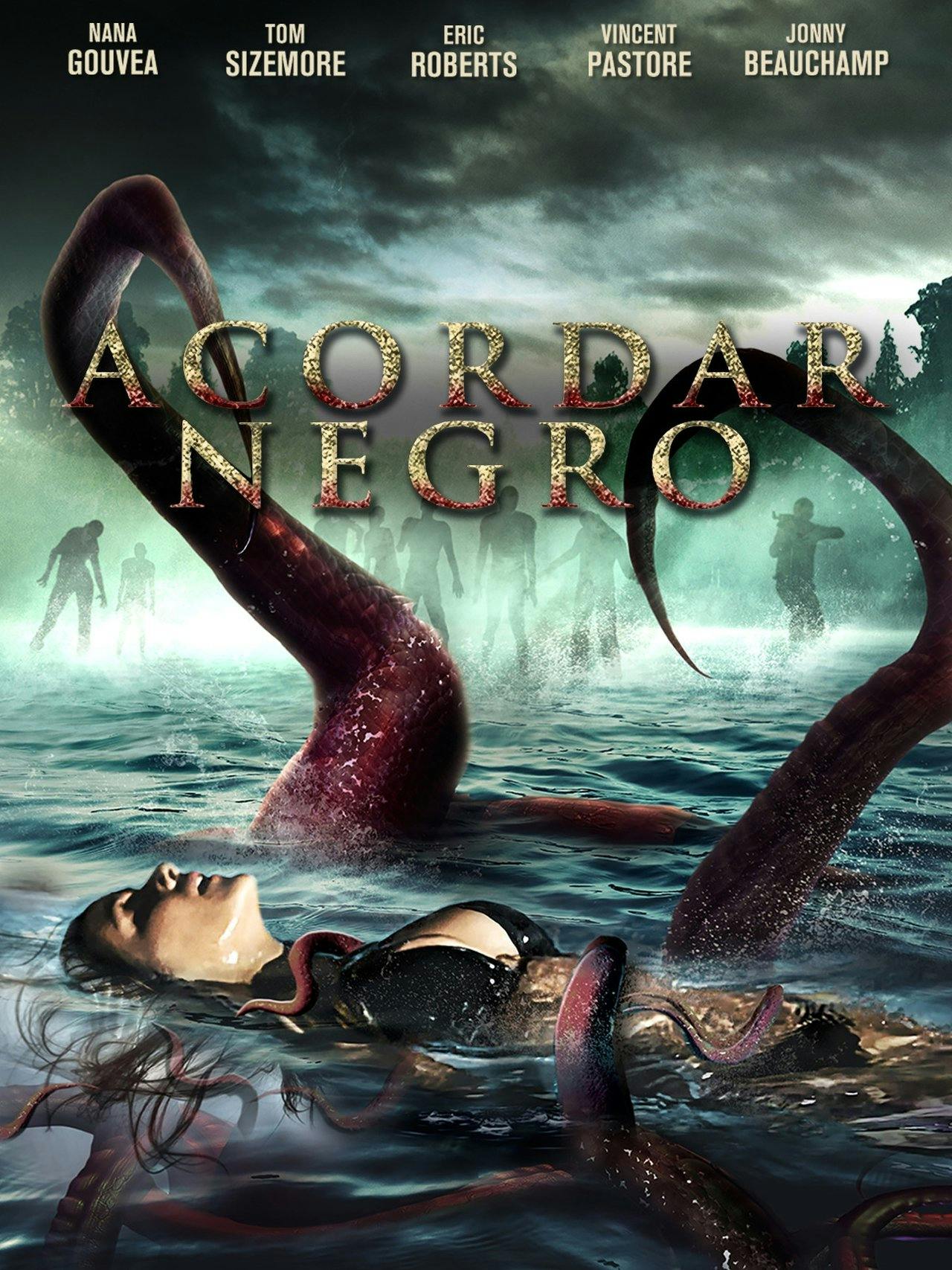 Assistir Acordar Negro Online em HD