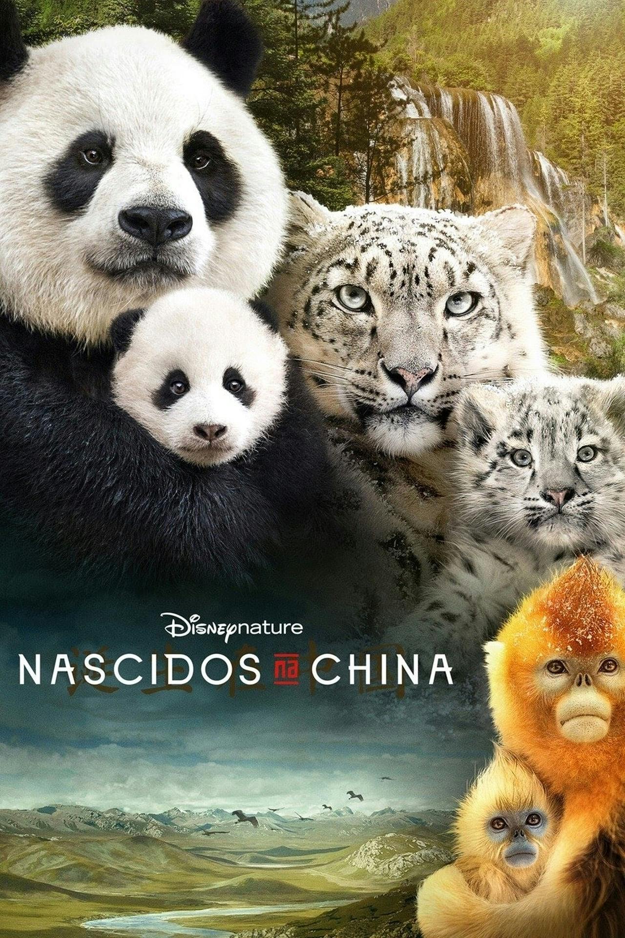 Assistir Nascidos na China Online em HD