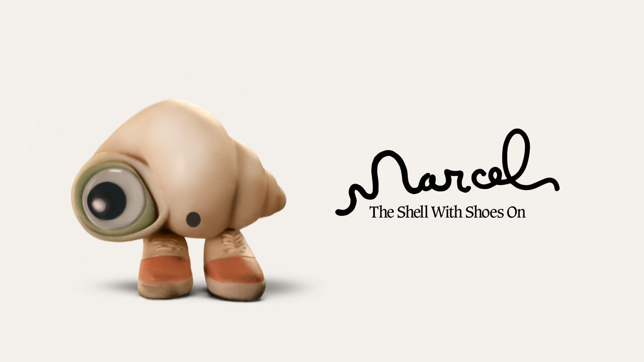 Marcel, a Concha de Sapatos
