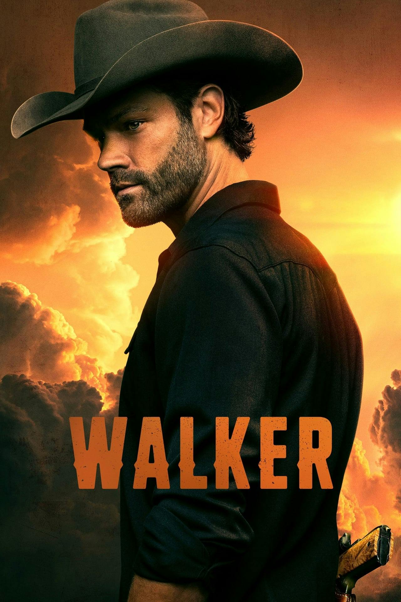 Assistir Walker Online em HD