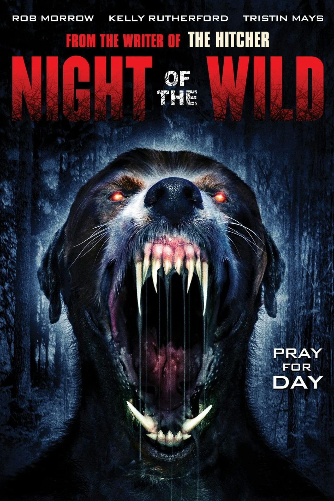 Assistir Night of the Wild Online em HD