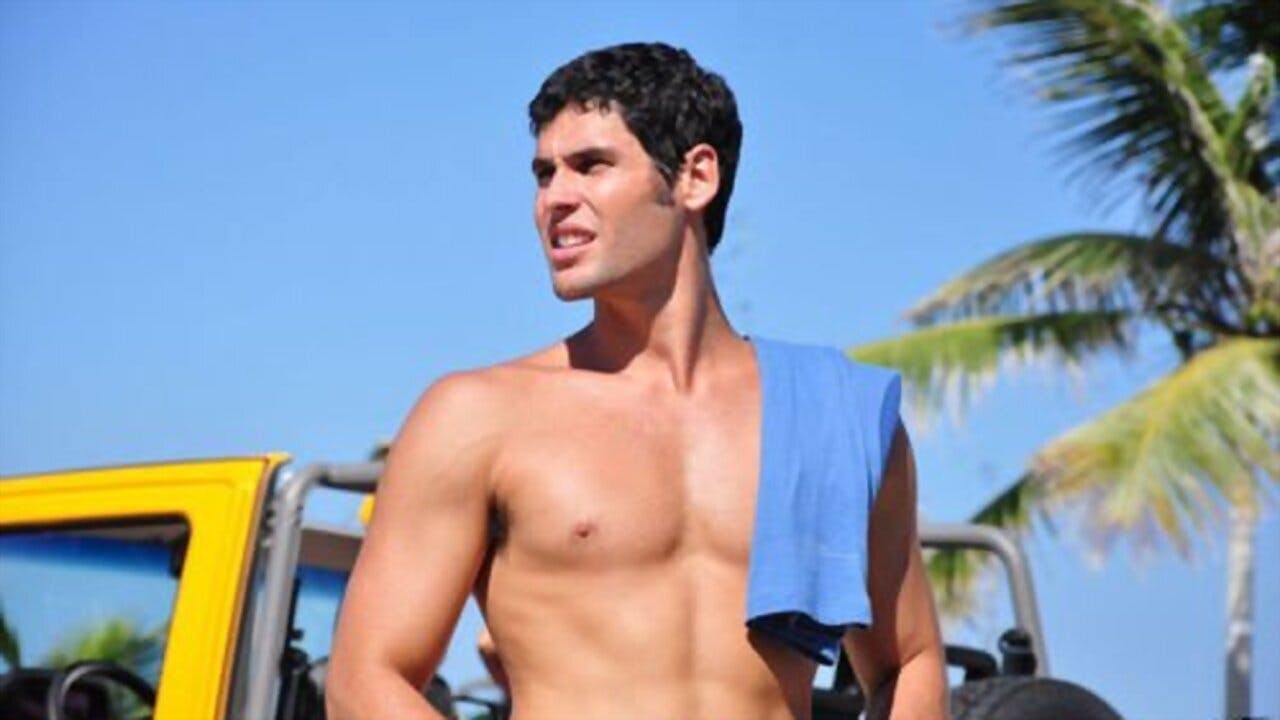 Qualquer Gato Vira-Lata assista online