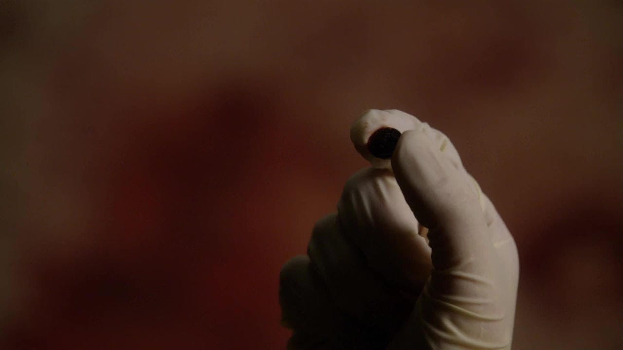 assista ao episódio 14 da temporada 1