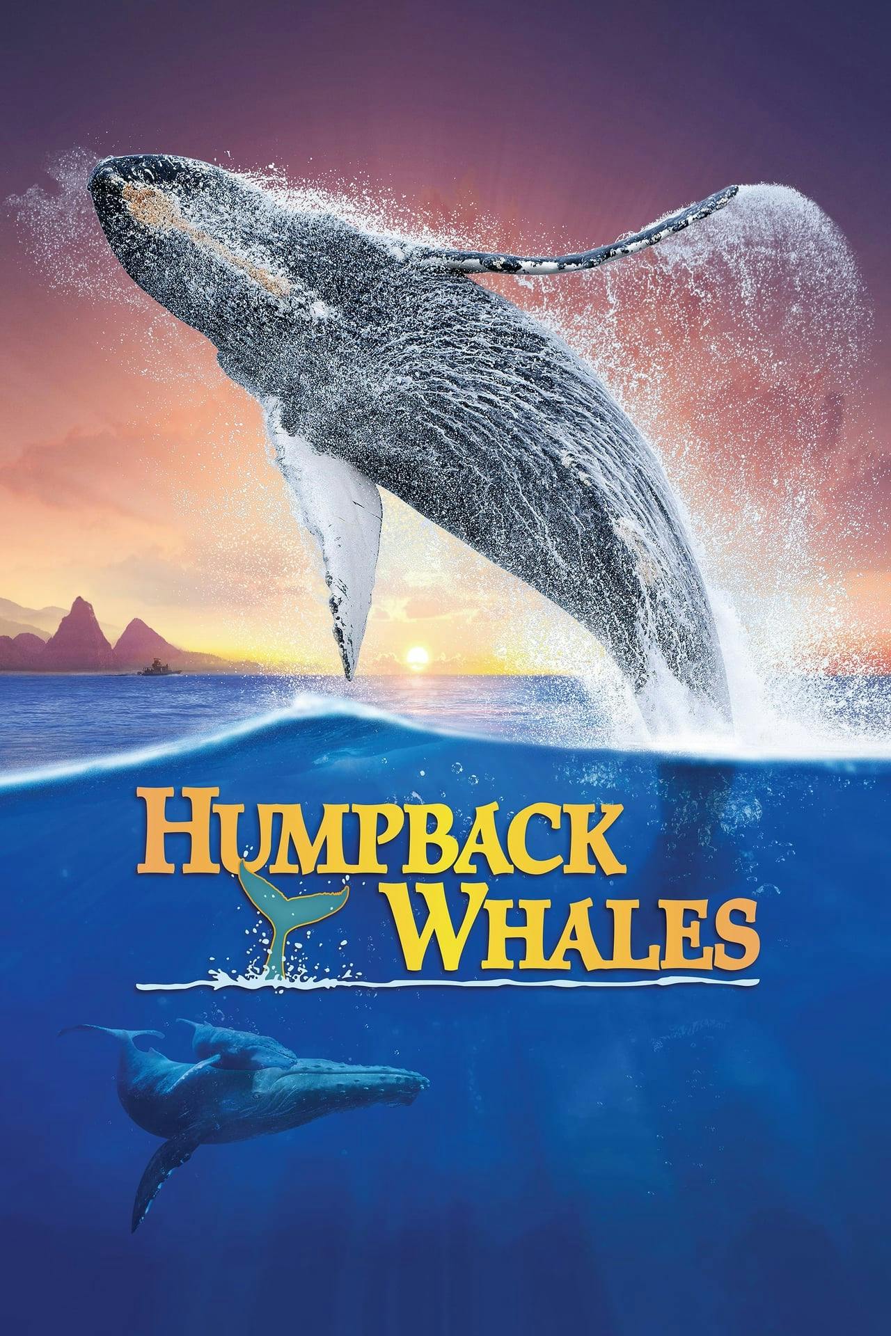 Assistir Humpback Whales Online em HD